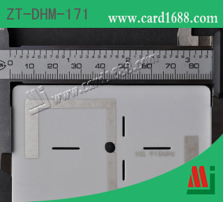 型号: ZT-DHM-171 (超高频陶瓷抗金属标签)