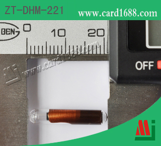 玻璃管标签 (型号: ZT-DHM-221)