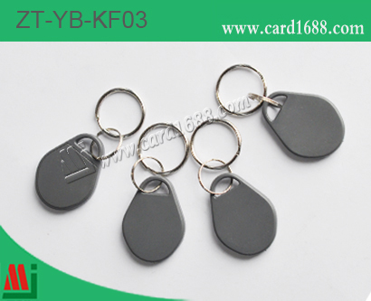 ABS匙扣卡 / NFC 标签:ZT-YB-KF03