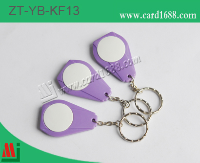 ABS匙扣卡 / NFC 标签:ZT-YB-KF13