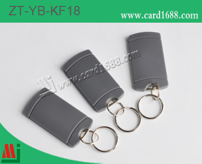 ABS匙扣卡 / NFC 标签: ZT-YB-KF18